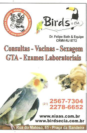 Birds & Cia
