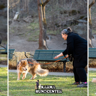 Hur tränar man inkallning?