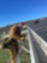 IMG_2661.jpeg