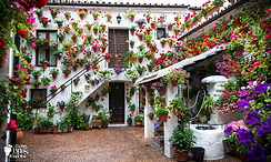Patios de Cordoba.jpg