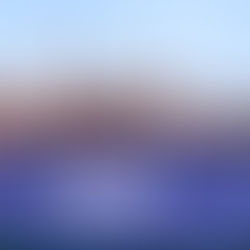 "Panamera” domina o Carnaval e garante série de prêmios a Tony Salles