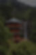 tom-vining-7jobXmcHee4-unsplash_edited.jpg