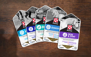 PURINA - equine packaging design