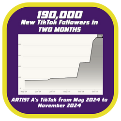 Chaka TikTok Followers