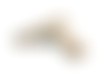 Glock 19X Breakdown & Review