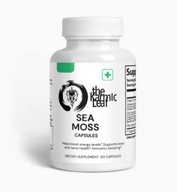 Screenshot 2024-08-23 at 7.11.46 PM