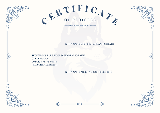 Blue Ridge Screaming For Nuts.png