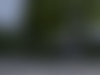 Horse Shopping Around the World