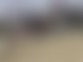 Galloping by the Sea – Competing in Rømø, Denmark