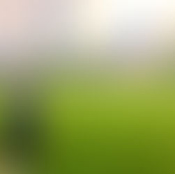 NY４日目② / はじめてのセントラルパーク🌳