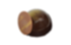 Dôme intense chocolat
