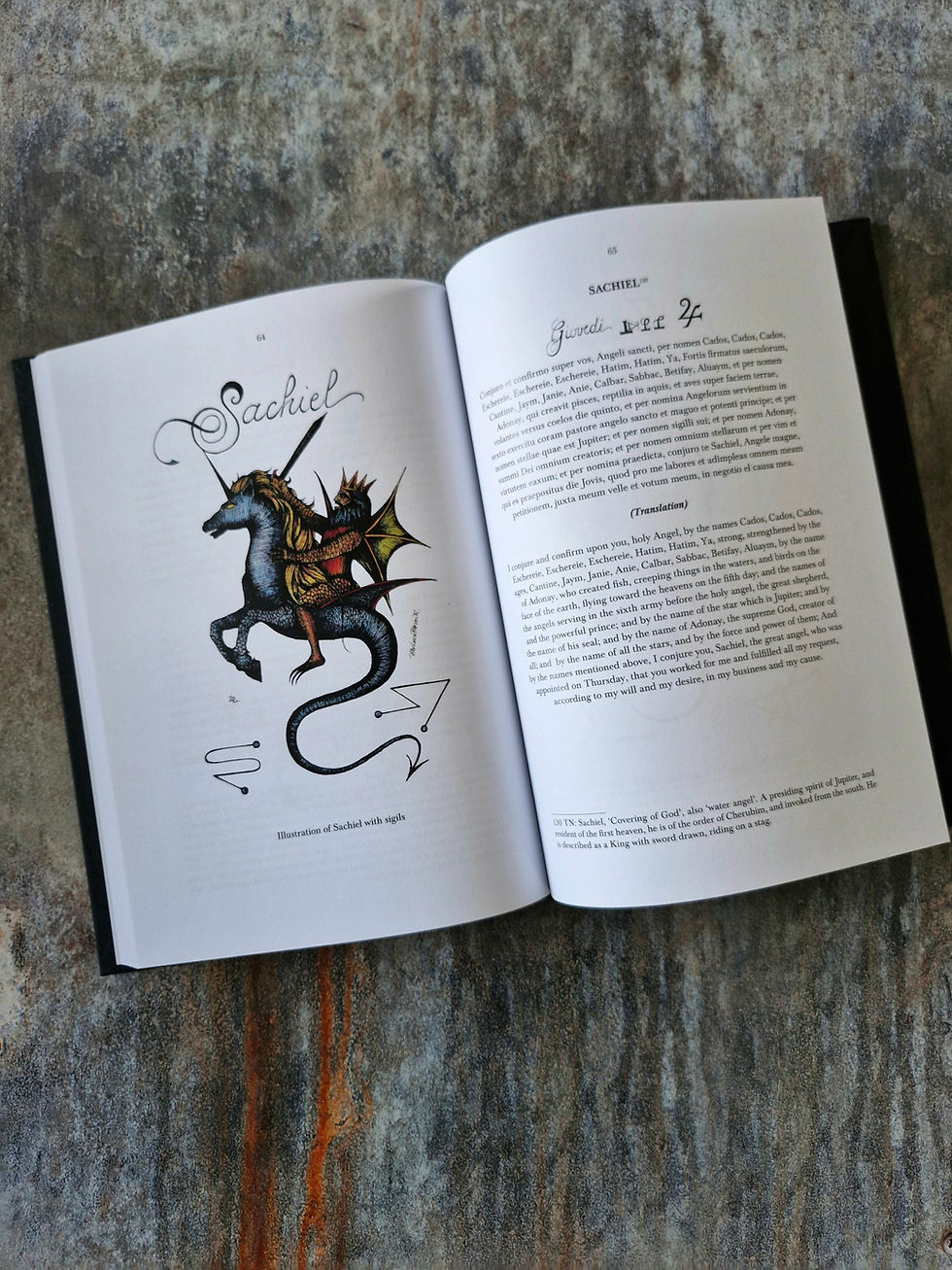 Thumbnail: LIBER UMBRARUM: Book Of Shadows Hadean Press 