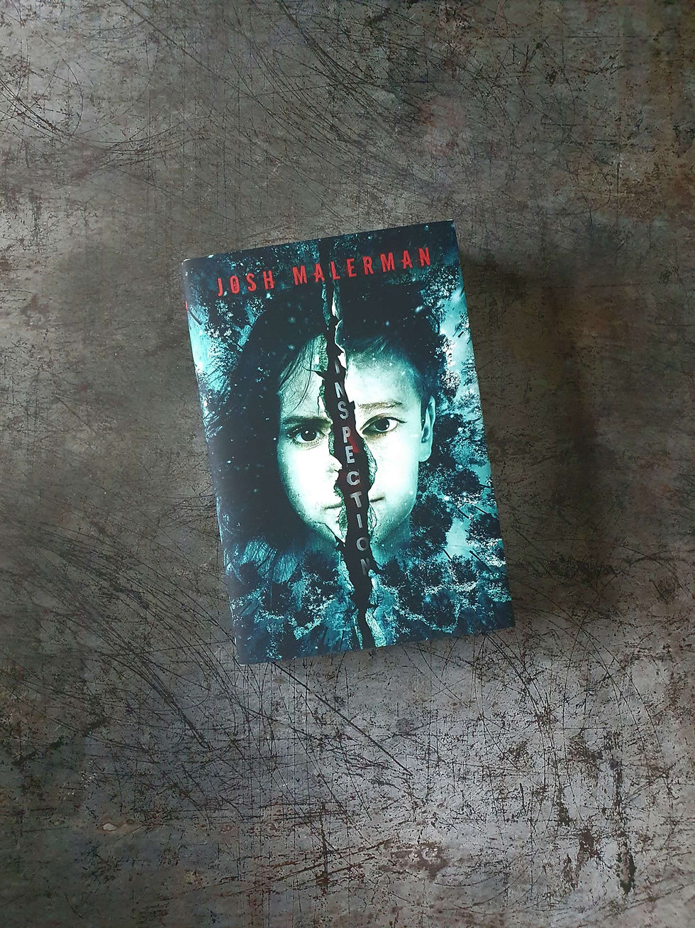 Thumbnail: INSPECTION: Josh Malerman SST Publications Signed & Numbered Edition 