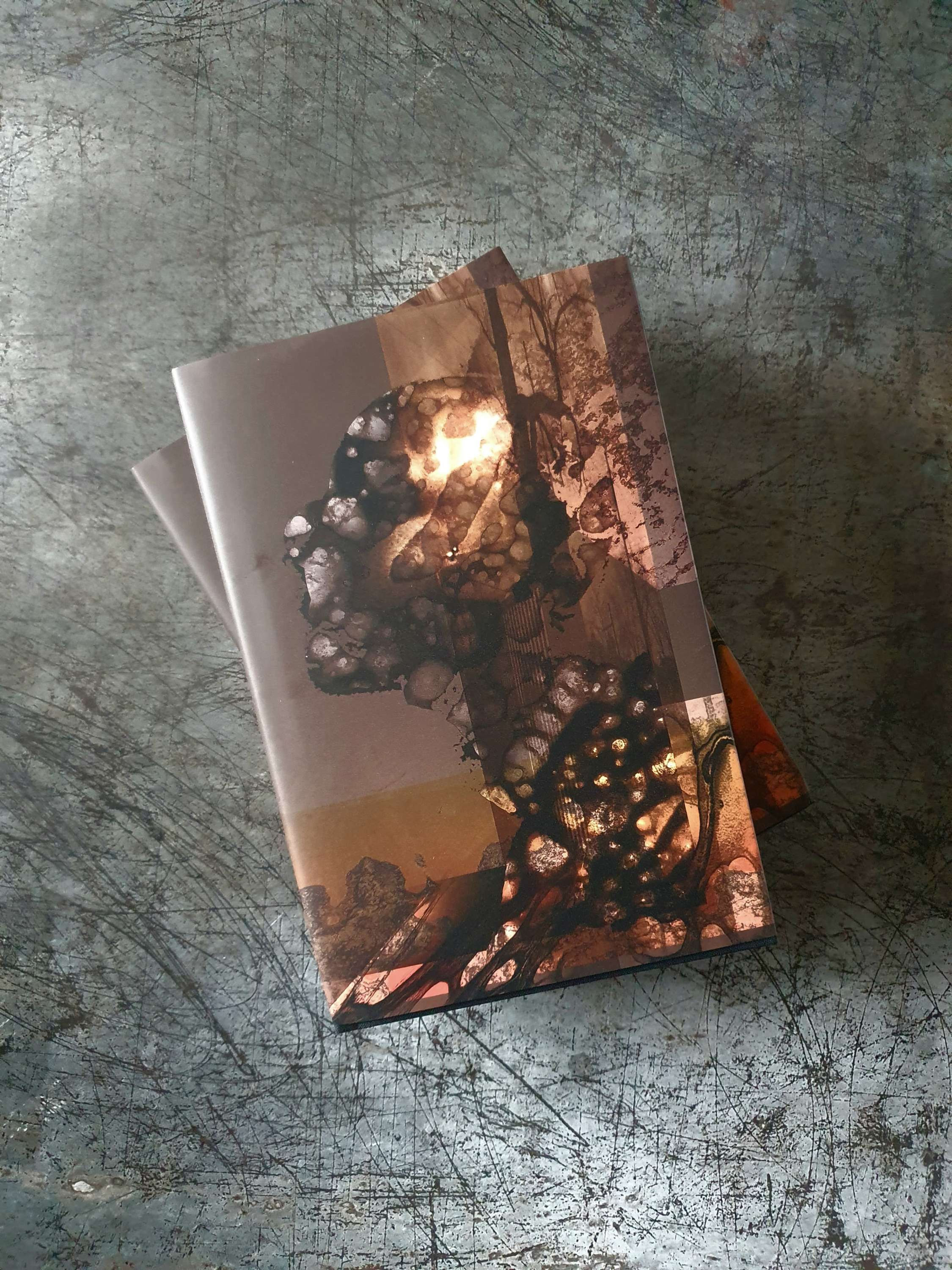 VISITING MAZE: Michael Cisco Centipede Press Edition (Not Signed)