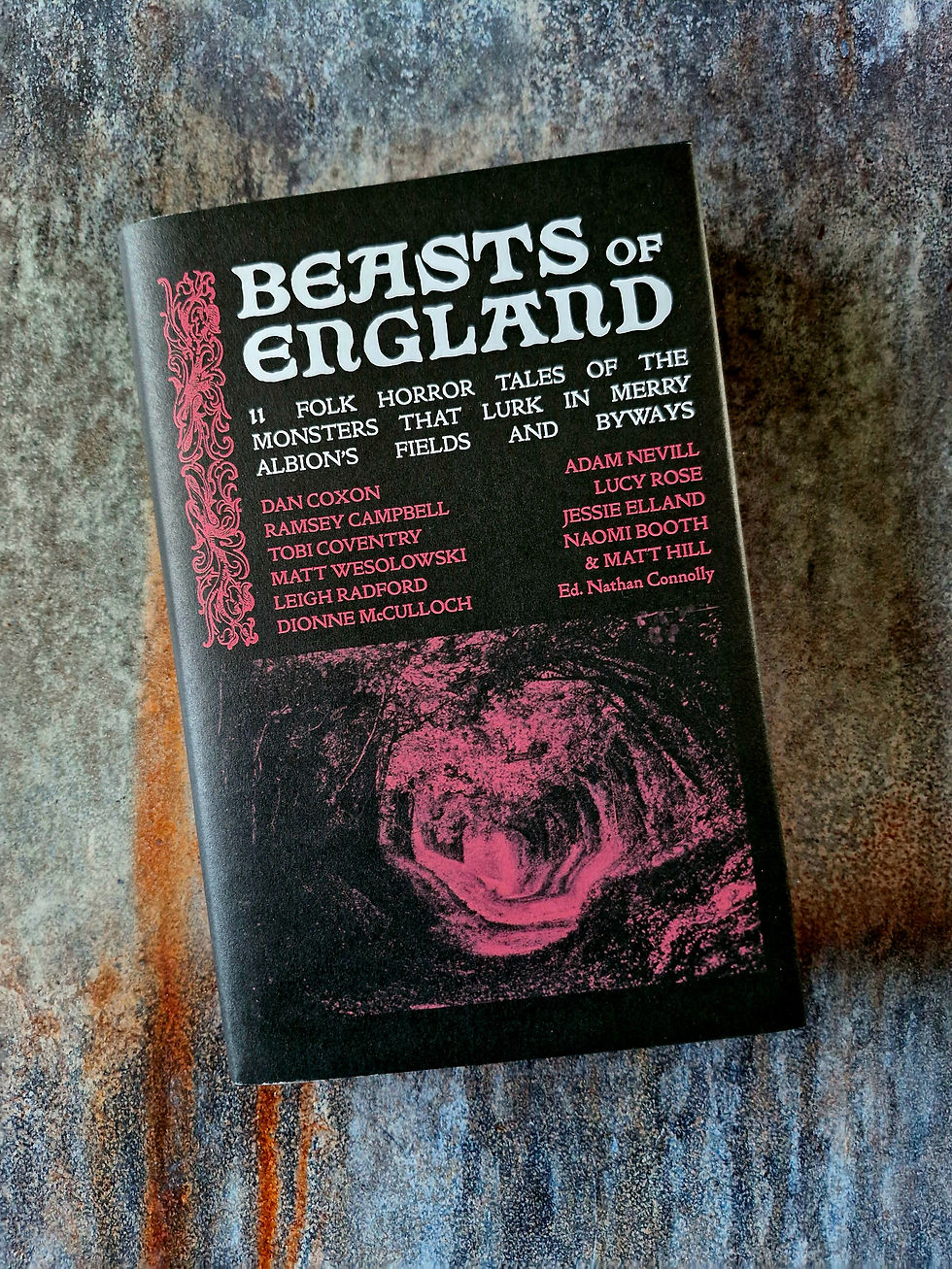 Thumbnail: BEASTS OF ENGLAND: Dead Ink Books Bestiary Signed Bundle