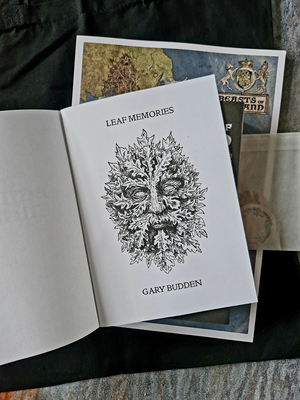 Thumbnail: BEASTS OF ENGLAND: Dead Ink Books Bestiary Signed Bundle