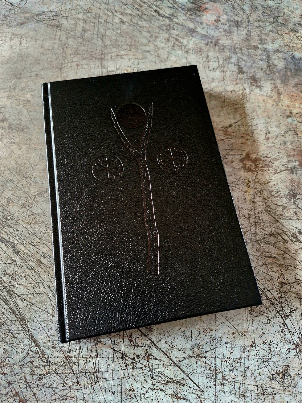 Thumbnail: THE WILLOW PATH - Kerry Wisner Troy Books Black Edition