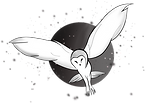 IMG_0865_edited.png