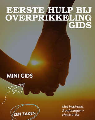 Mini gids meer .png