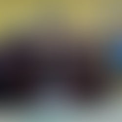 Encontro do Ministro Geral Frei Massimo com formadores e o SAV em Porto Alegre