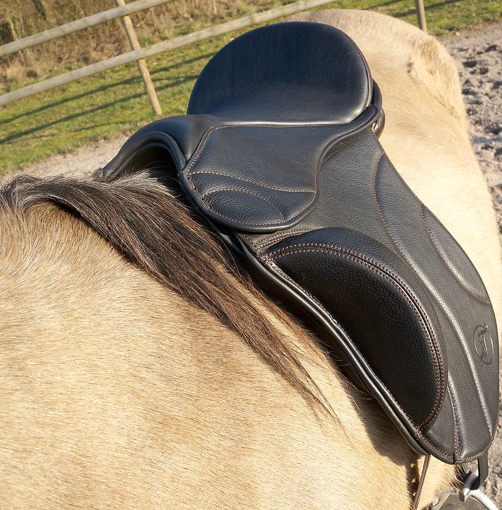 Thumbnail: Gaiter Dressage V1