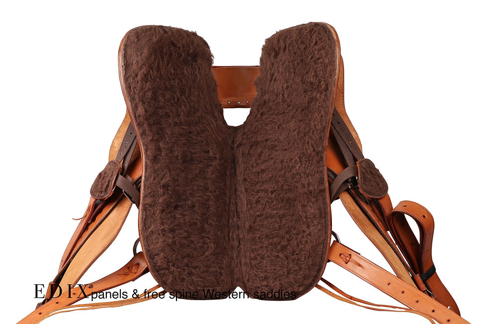 Thumbnail: Django Western Saddle,l