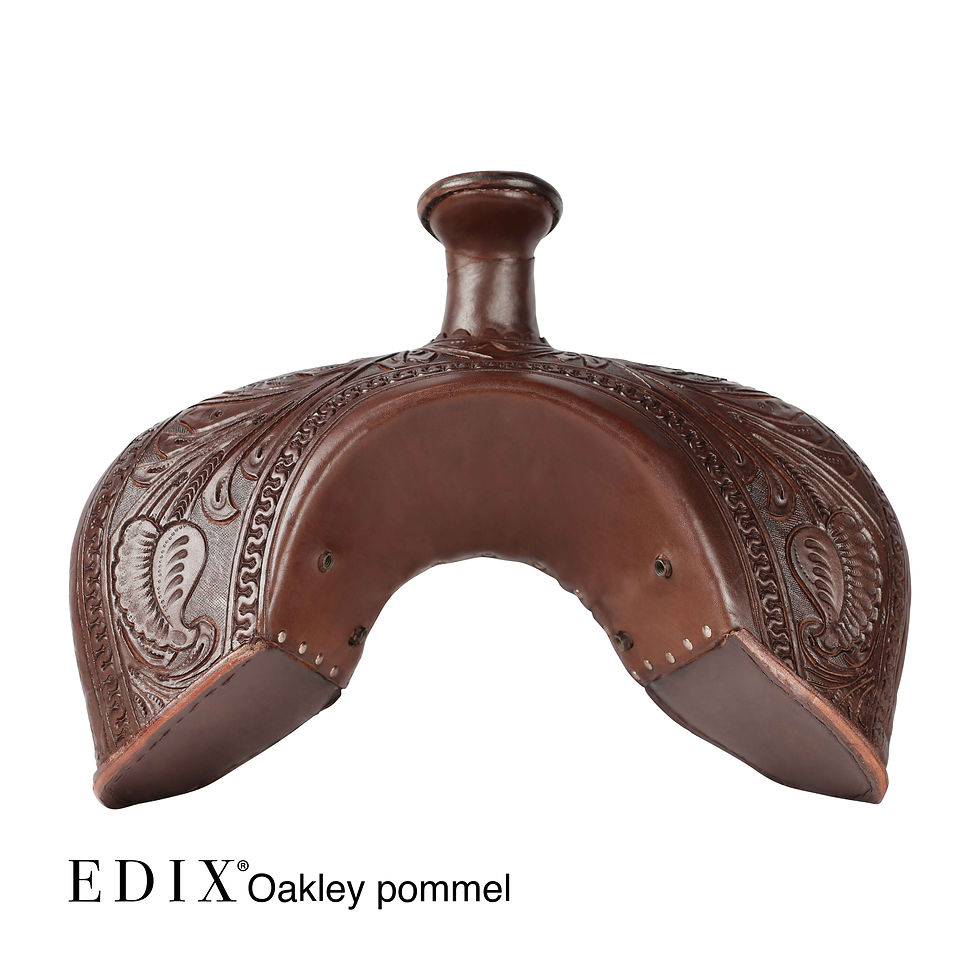 Thumbnail: Oakley Western Saddle