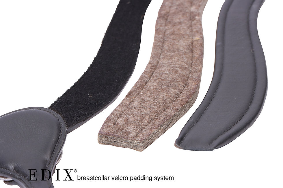 Thumbnail: Leather Breast Collar