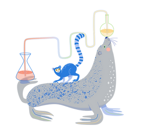 A seal balancing chemistry beakers
