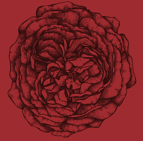 Scherm­afbeelding 2025-02-19 om 22.39.55.png