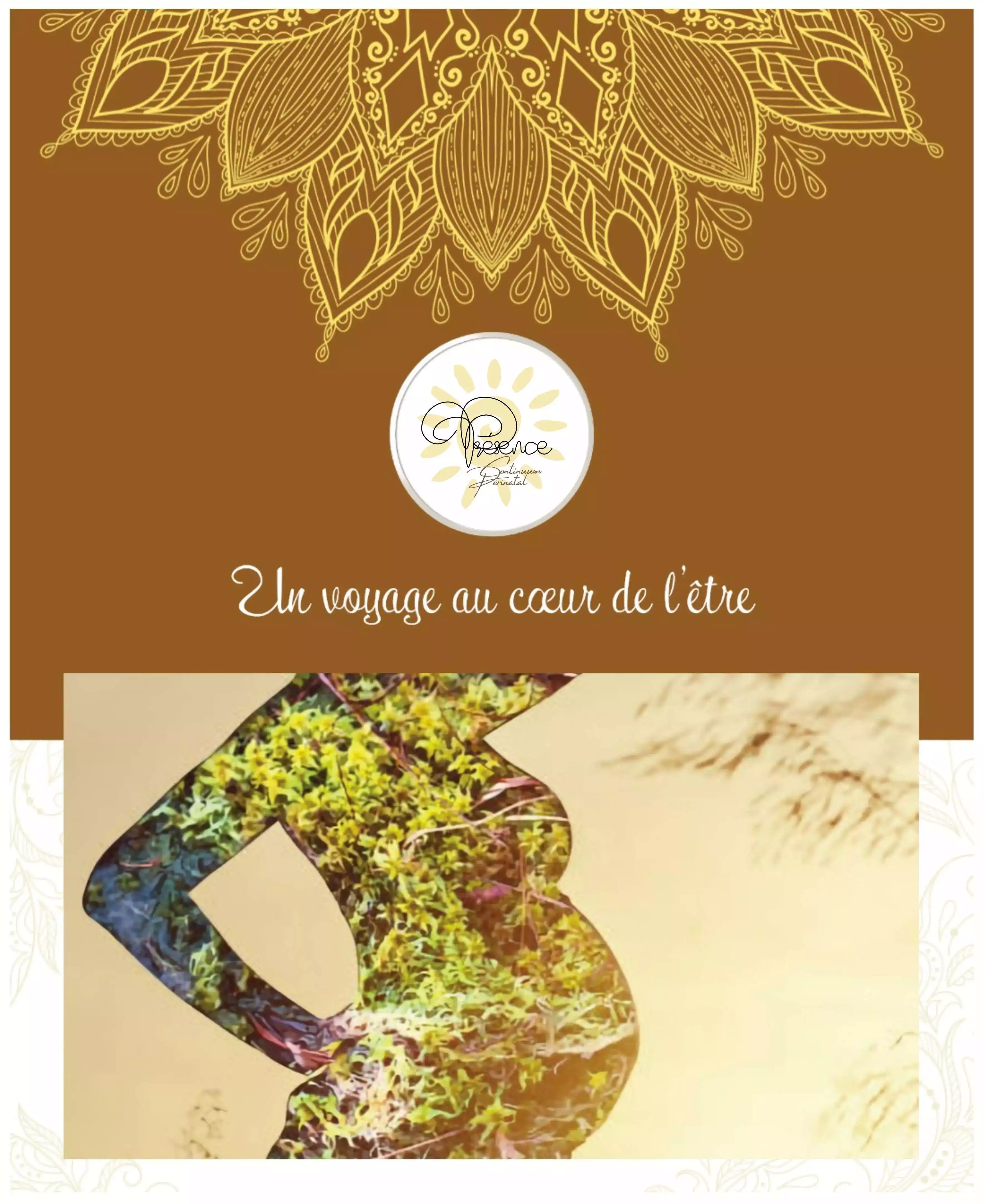 continuum périnatal Ecole Doula Présence formation doula toulouse-.webp