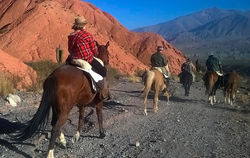 Jujuy08