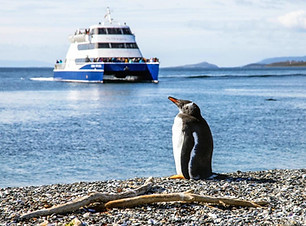 Tours_ushuaia.jpeg