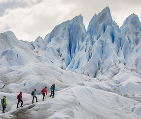 minitrek_calafate.jpeg