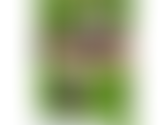 🎺Get Ready for Marching Action in those Freshly Cleaned Uniforms💐