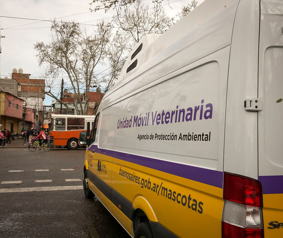 Atención gratis para mascotas