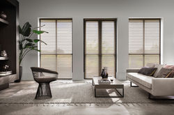 Silhouette shades