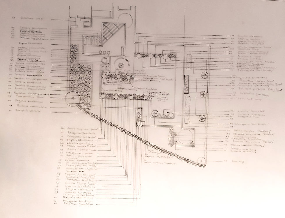 Planting Plan