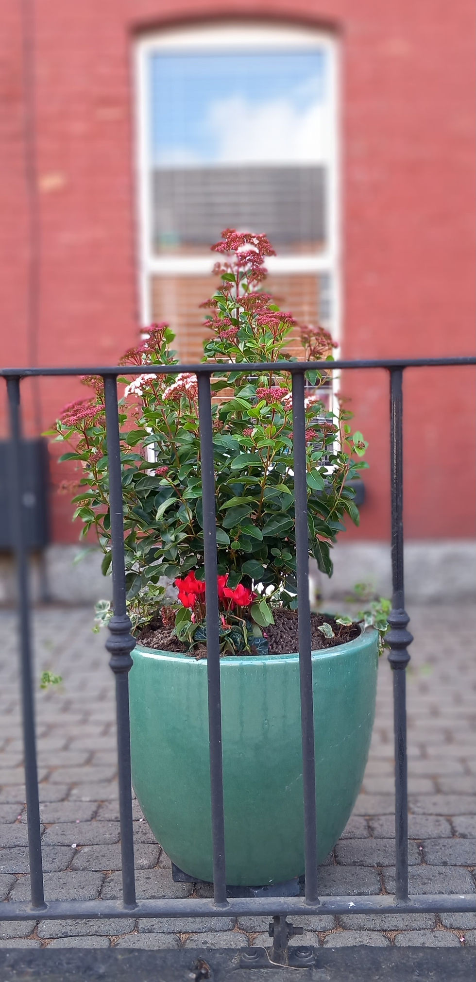 Simple planting ideas