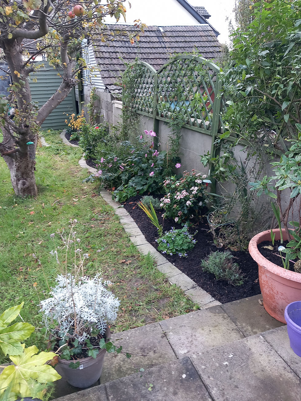 After - border tidied