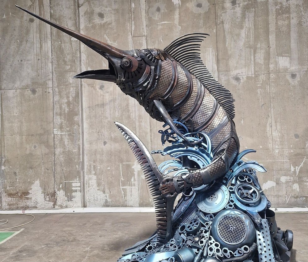 Ankara- Valuable scraps project