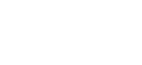 Net2.png