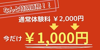 今だけ特別価格!!.png