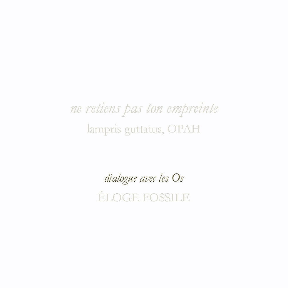 Miniature : Opah