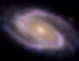Messier 81: A Spiral Marvel in the Cosmic Sea