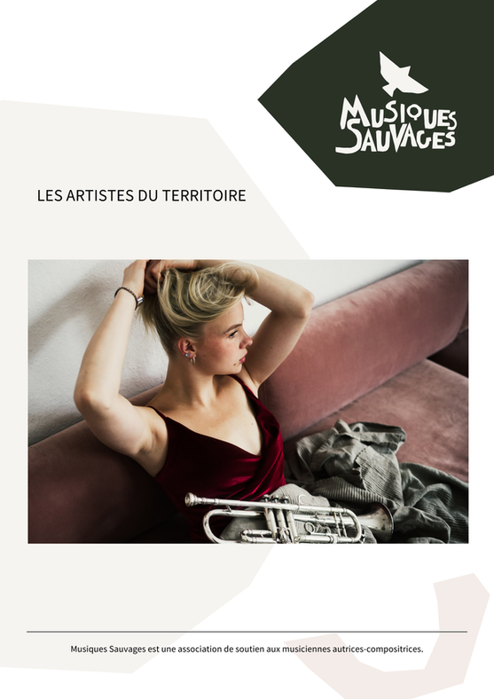 Exemple de dossier pour un boîte de production et de diffusion de musiques actuelles basée sur Grenoble