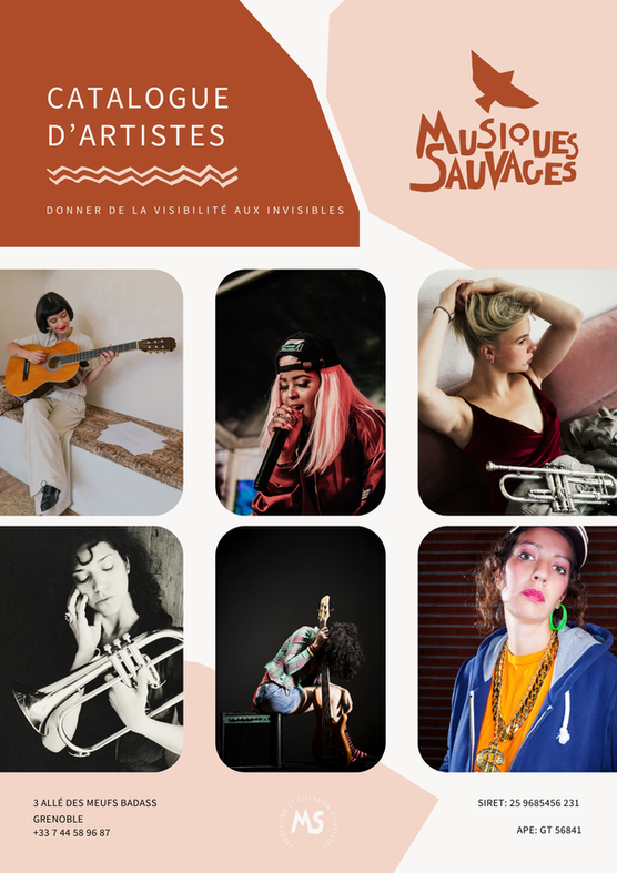 Création de l'univers graphique de la boîte de Production "Musiques Sauvages" Basée à Grenoble