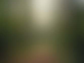 הטכנולוגיות החדשות בעולם הכטב״מים