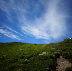 snow-5407249.jpg