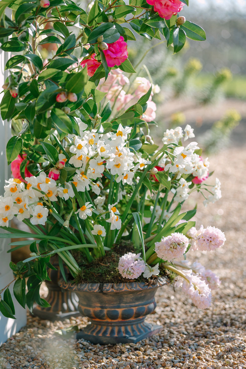 Feature Flordals-8